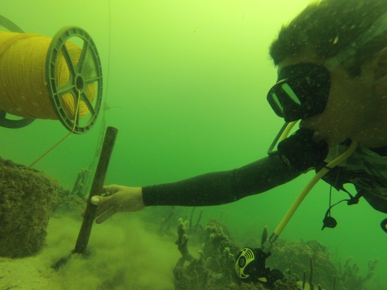 Ejercicios en el parque temático de buceo “Ciénaga de los Vásquez”. (Foto archivo CIOH) Ejercicios en el parque temático de buceo “Ciénaga de los Vásquez”. (Foto archivo CIOH)
