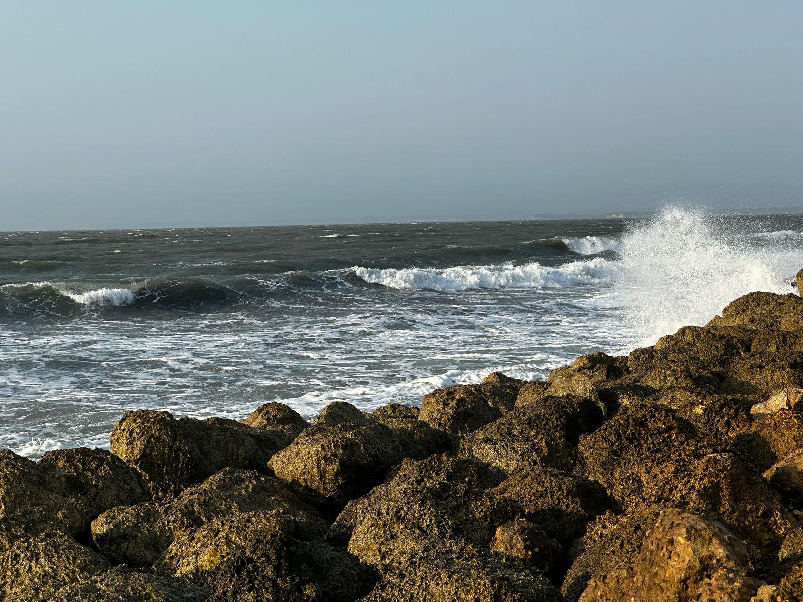 Comunicado de prensa Comunicado de prensa