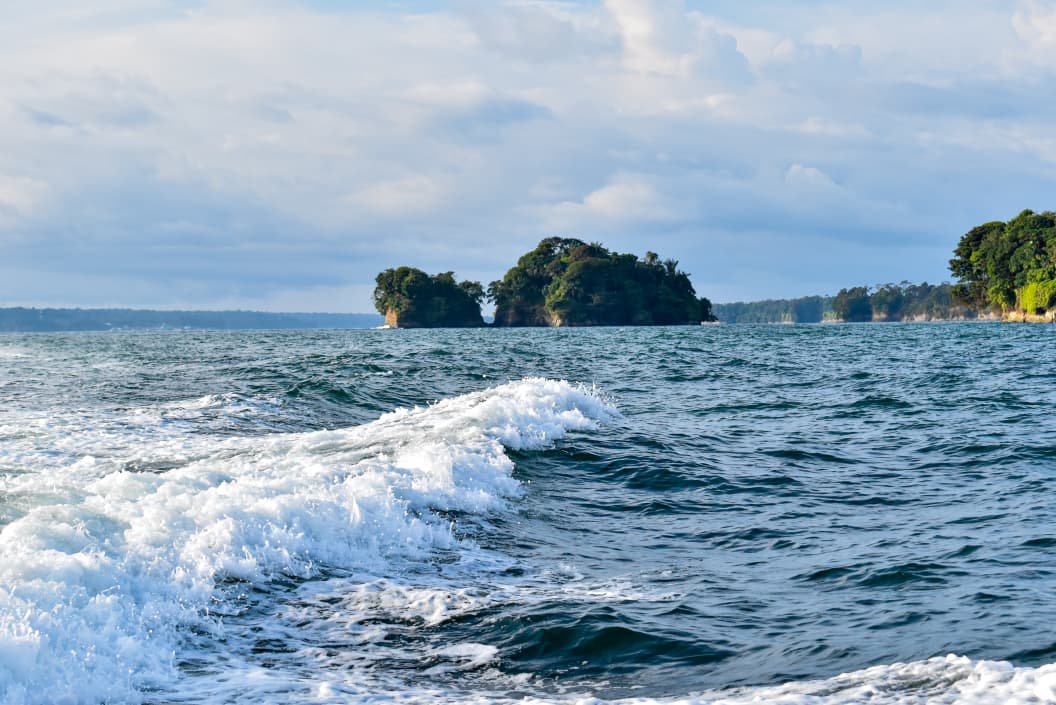 Comunicado de prensa
