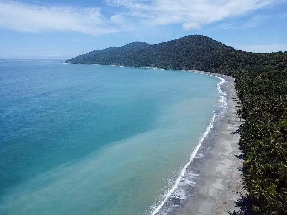 Comunicado de prensa