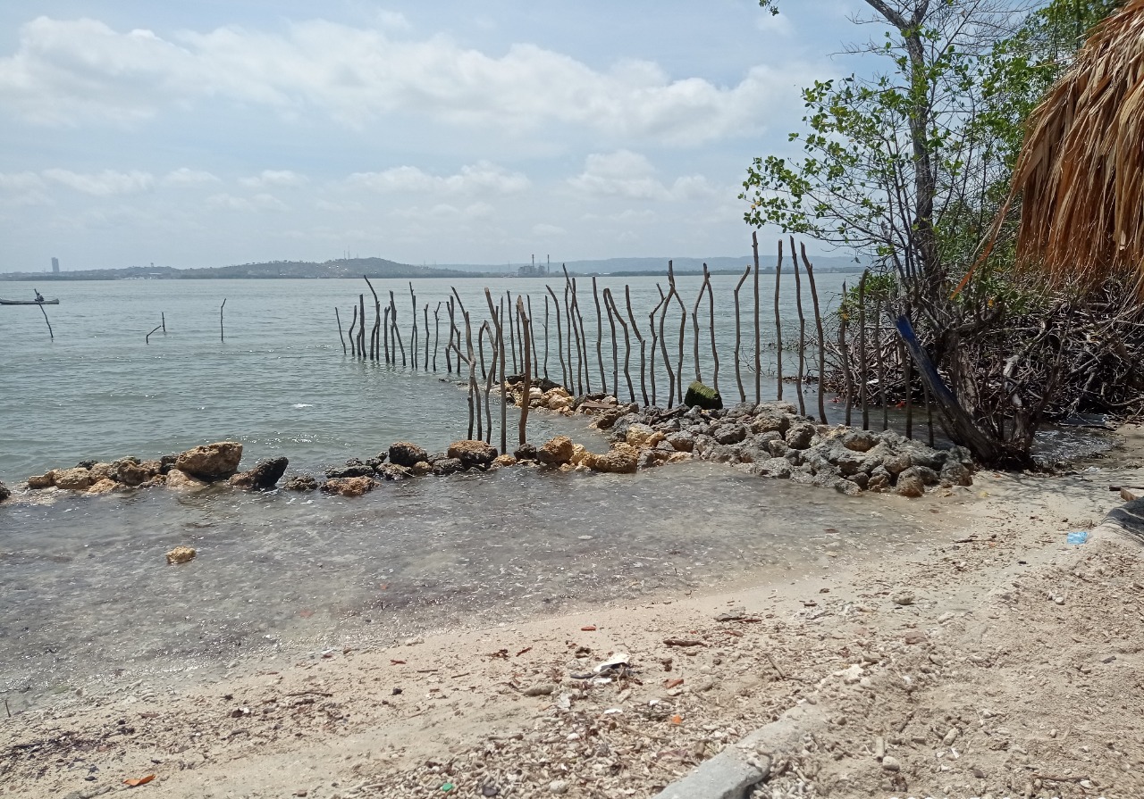 Dirección General Marítima denuncia construcción sobre mangle en Tierra bomba, Cartagena Dirección General Marítima denuncia construcción sobre mangle en Tierra bomba, Cartagena
