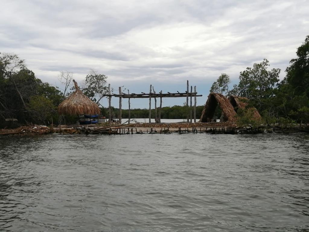 Dimar reitera denuncia de construcción sobre mangle en Punta Arena, Cartagena Dimar reitera denuncia de construcción sobre mangle en Punta Arena, Cartagena
