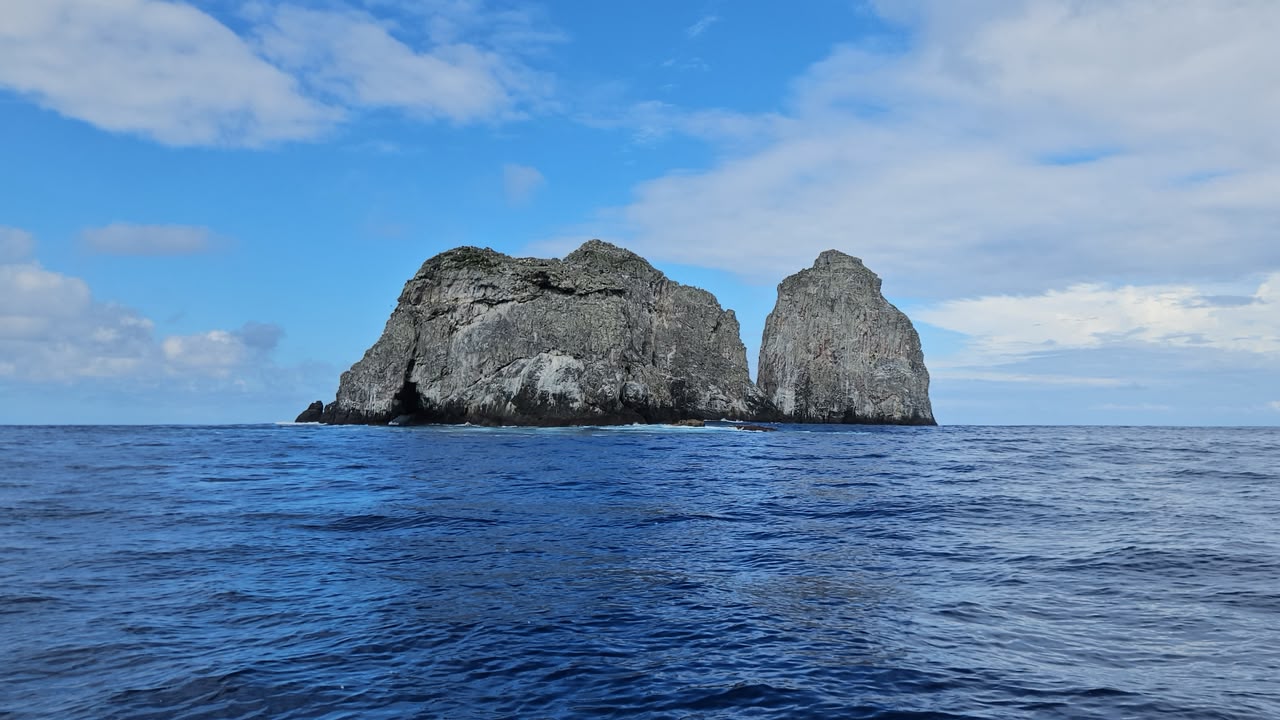 DIMAR participa en expedición científica que explora ecosistemas profundos en la Isla de Malpelo
