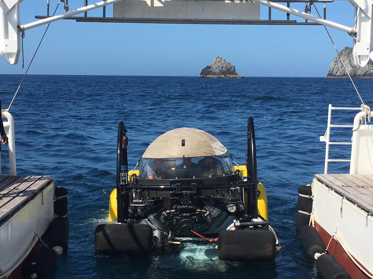 Dirección General Marítima apoya investigación científica en la Dorsal de Yuruparí y la Isla de Malpelo Dirección General Marítima apoya investigación científica en la Dorsal de Yuruparí y la Isla de Malpelo