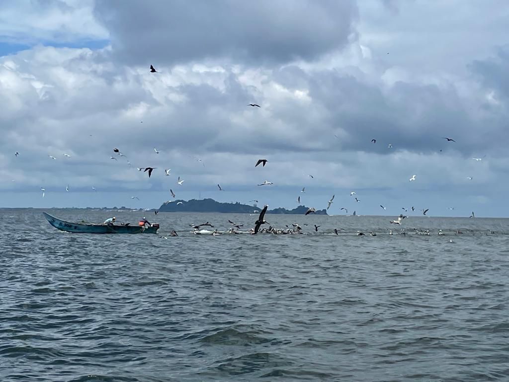 Dirección General Marítima comprometida con el plan de ordenamiento marino costero de Tumaco, Nariño Dirección General Marítima comprometida con el plan de ordenamiento marino costero de Tumaco, Nariño