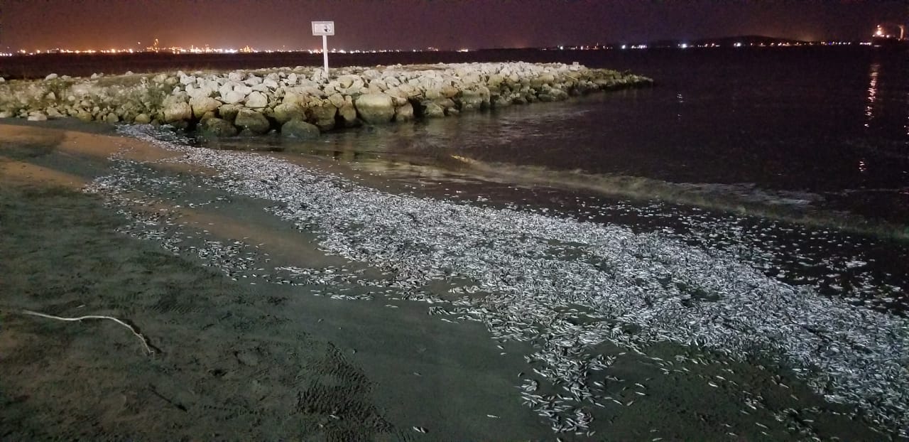 La Autoridad Marítima Colombiana contribuye al conocimiento de la calidad ambiental marina de la bahía de Cartagena La Autoridad Marítima Colombiana contribuye al conocimiento de la calidad ambiental marina de la bahía de Cartagena