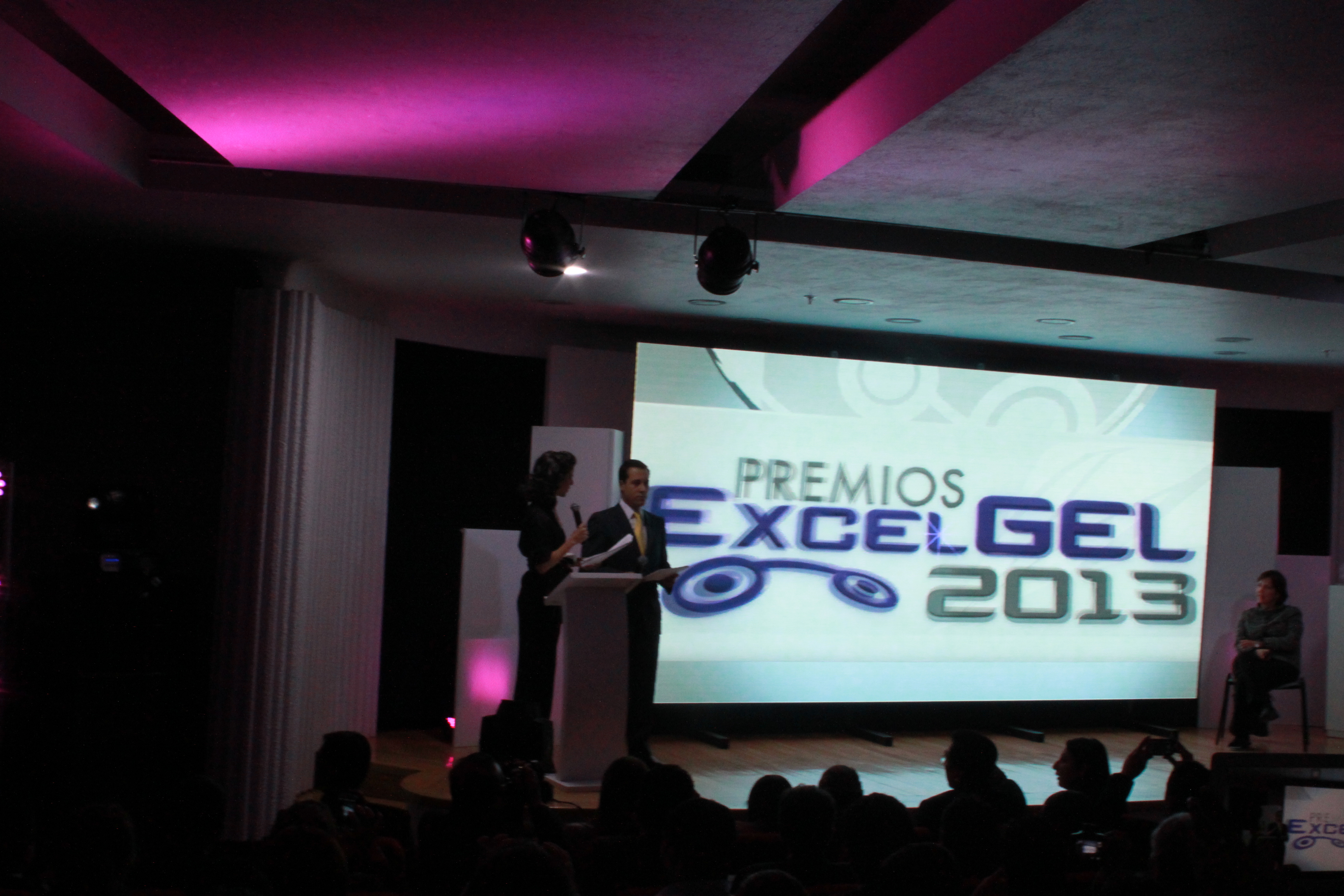 Noche de premiación Excel GEL 2013 Noche de premiación Excel GEL 2013