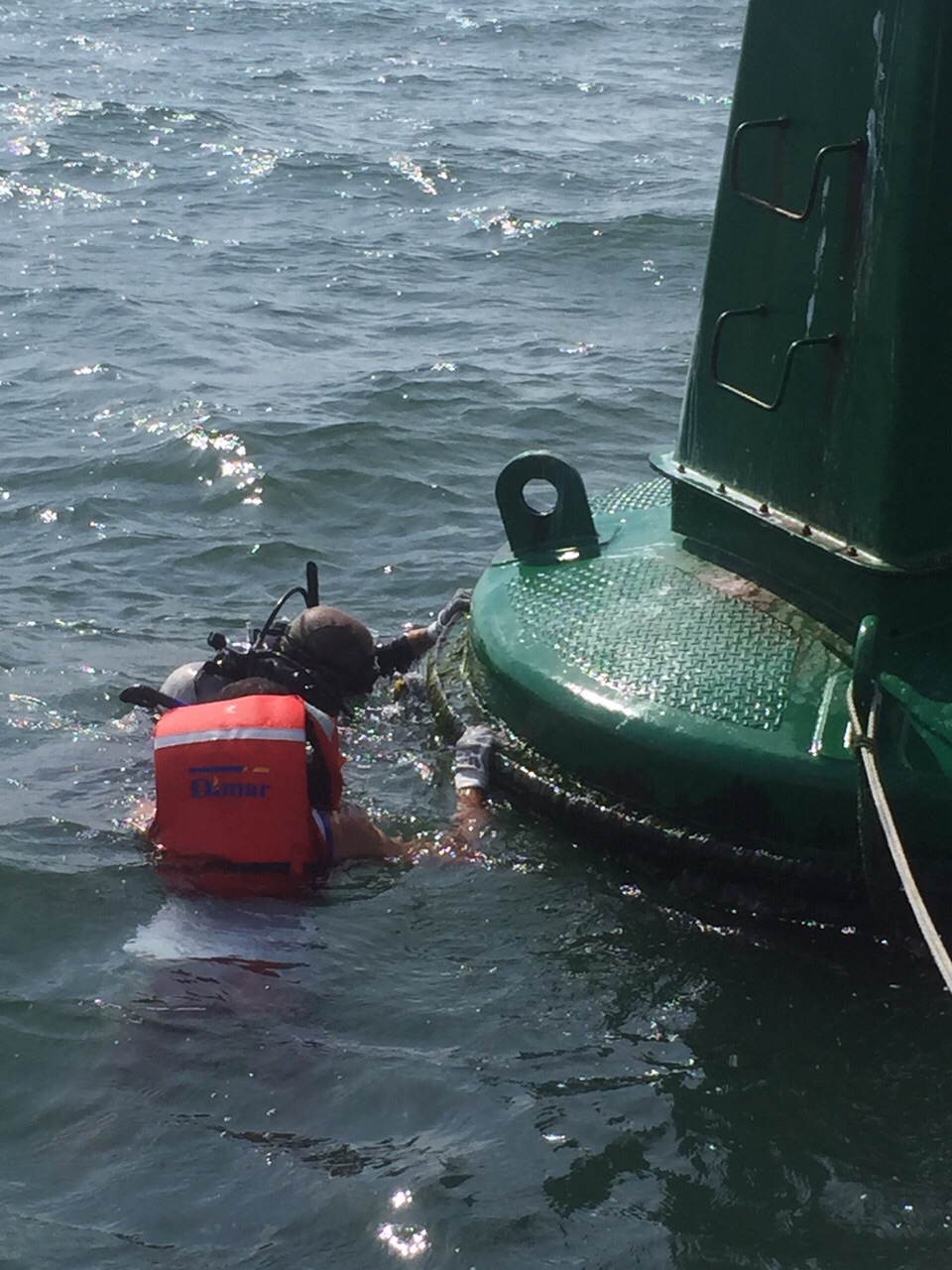 Recolección de organismos sésiles, en la Bahía de Tumaco. Recolección de organismos sésiles, en la Bahía de Tumaco.