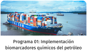 programa 1
