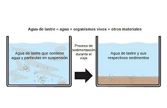 sedimentos de lastre sedimentos de lastre