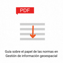 Guia sobre el papel de las normas en gestion de informacion geoespacial