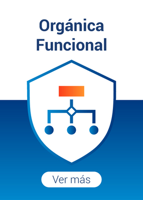 Orgánica funcional