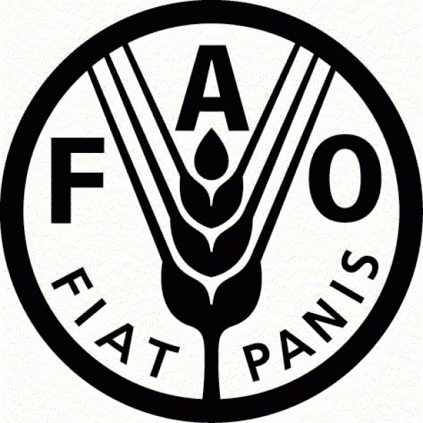 Organización de las Naciones Unidas para la Agricultura y la Alimentación (FAO) Organización de las Naciones Unidas para la Agricultura y la Alimentación (FAO)