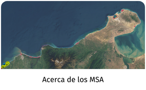 Acerca de los MSA