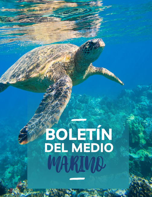 Boletín del Medio Marino Boletín del Medio Marino
