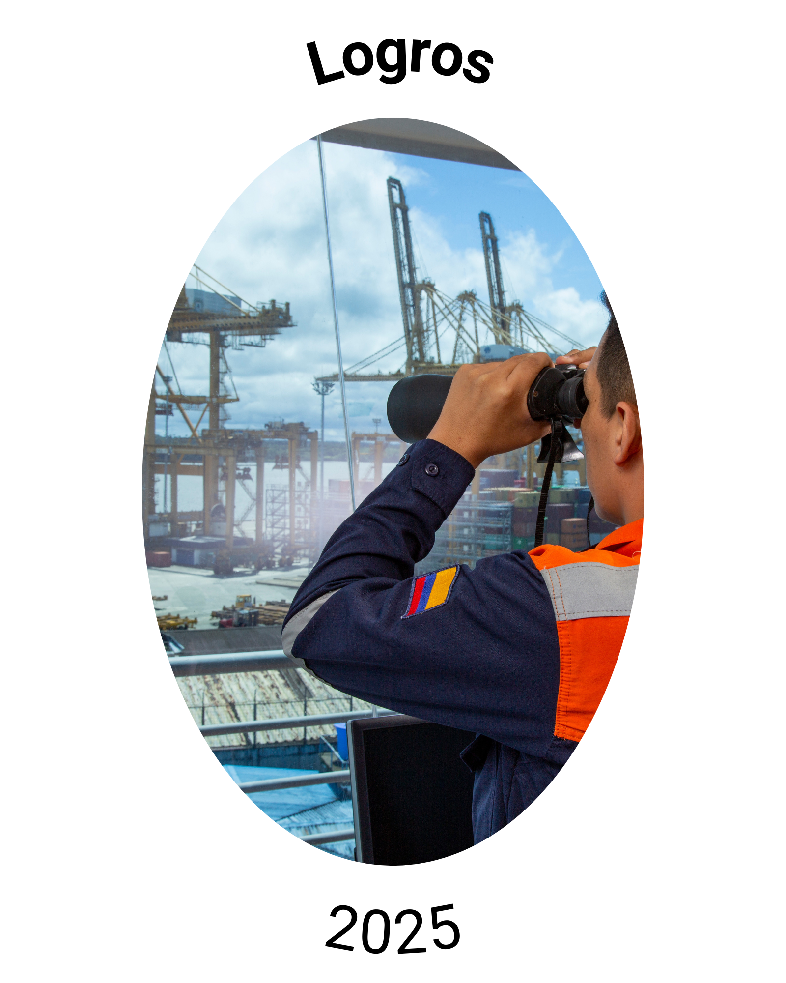 Ingresar - Logros 2025