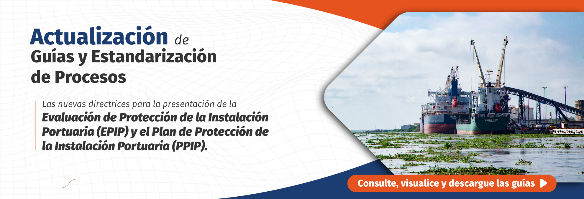 Actualización de guías y estandarización de procesos