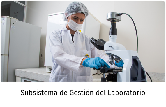 Subsistema de Gestión del Laboratorio