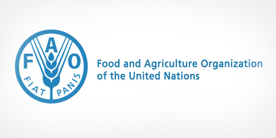 Organización de las Naciones Unidas para la Agricultura y la Alimentación (FAO) 
