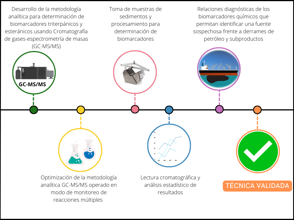 Proceso de validaci&oacute;n t&eacute;cnica para la implementaci&oacute;n de biomarcadores qu&iacute;micos del petr&oacute;leo