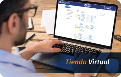 Ingresar - Tienda virtual