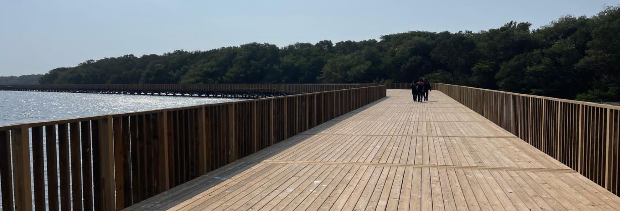 Obras del Ecoparque Mallorquín avanzan en cumplimiento de la normatividad para Bienes de Uso Público: Dimar