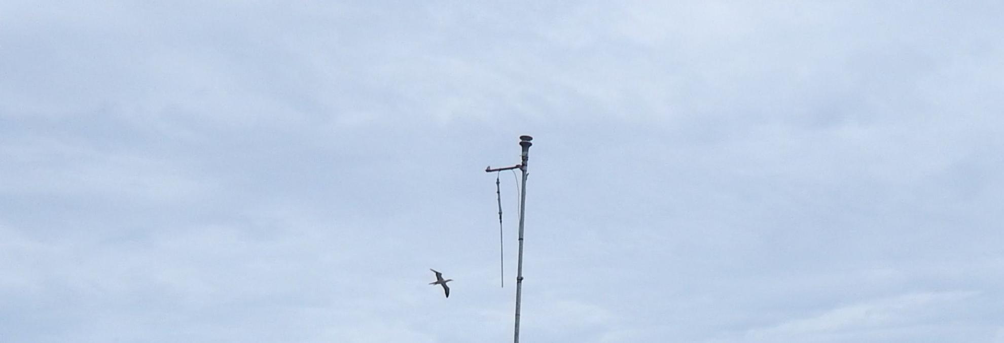 Estación Remota de Servicio de Tráfico Marítimo en la Isla de Malpelo.