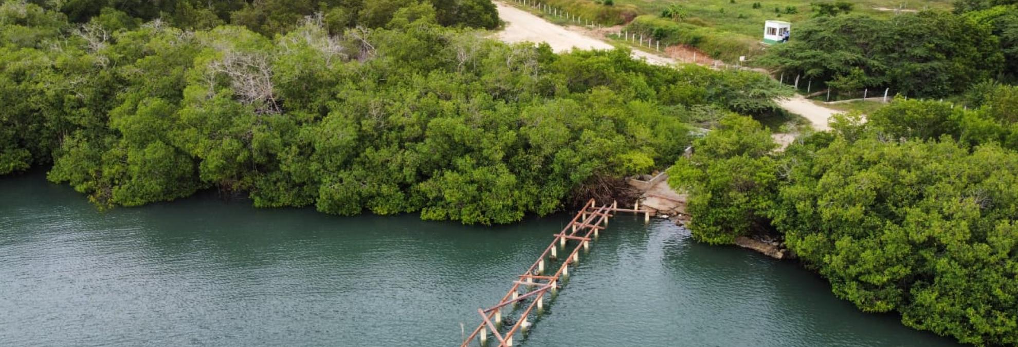  Con apoyo de la Capitanía de Puerto de Cartagena y la Fiscalía de Medio Ambiente, la Alcaldía de Cartagena lidera recuperación de espacio público en Barú