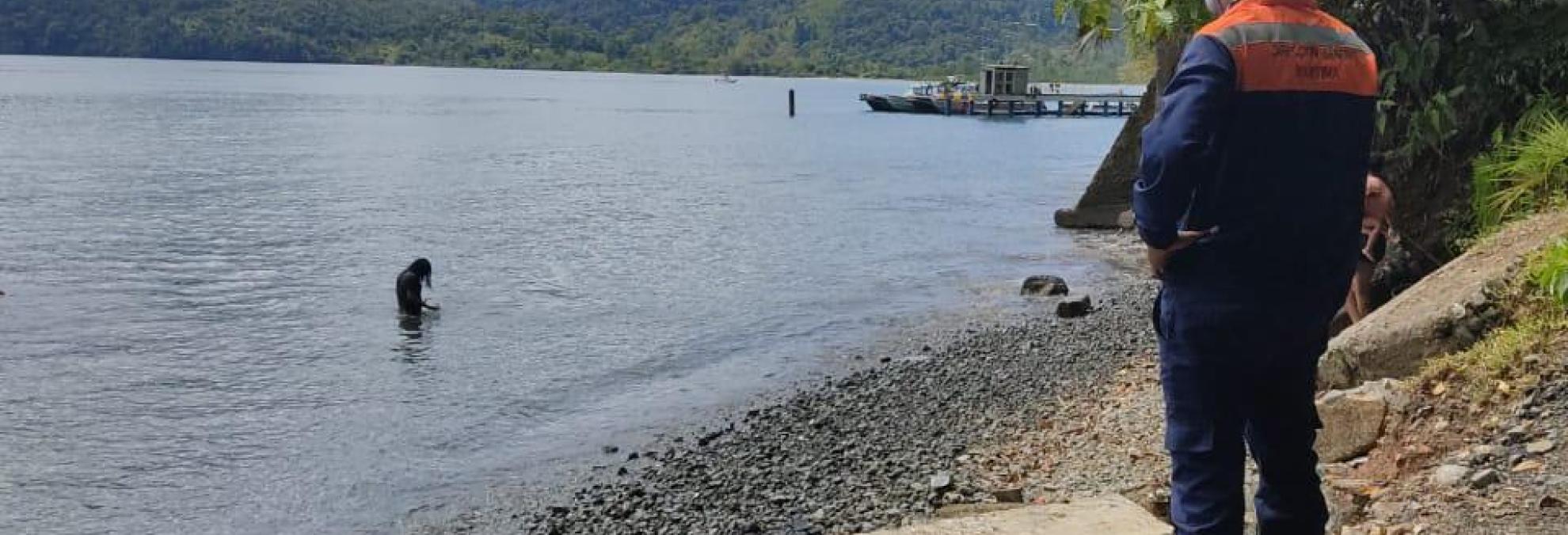 1.352 personas han elegido las playas del Pacífico chocoano como su destino turístico en esta temporada vacacional