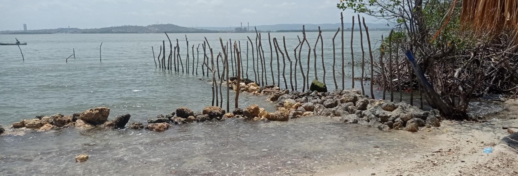 Dirección General Marítima denuncia construcción sobre mangle en Tierra bomba, Cartagena