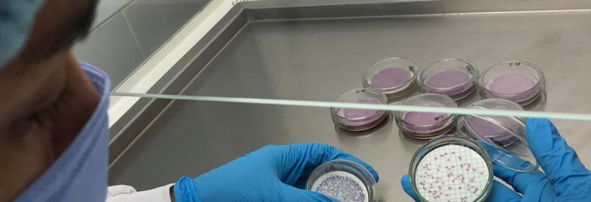 DIMAR participó en el programa Interlaboratorio del Control de Calidad de Agua Potable (PICCAP)