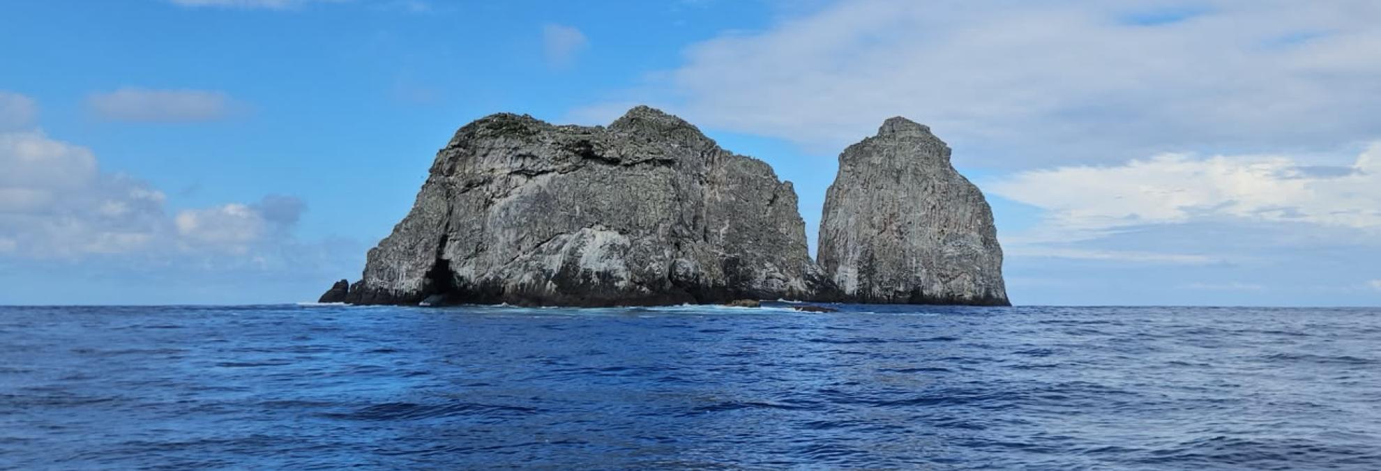 DIMAR participa en expedición científica que explora ecosistemas profundos en la Isla de Malpelo