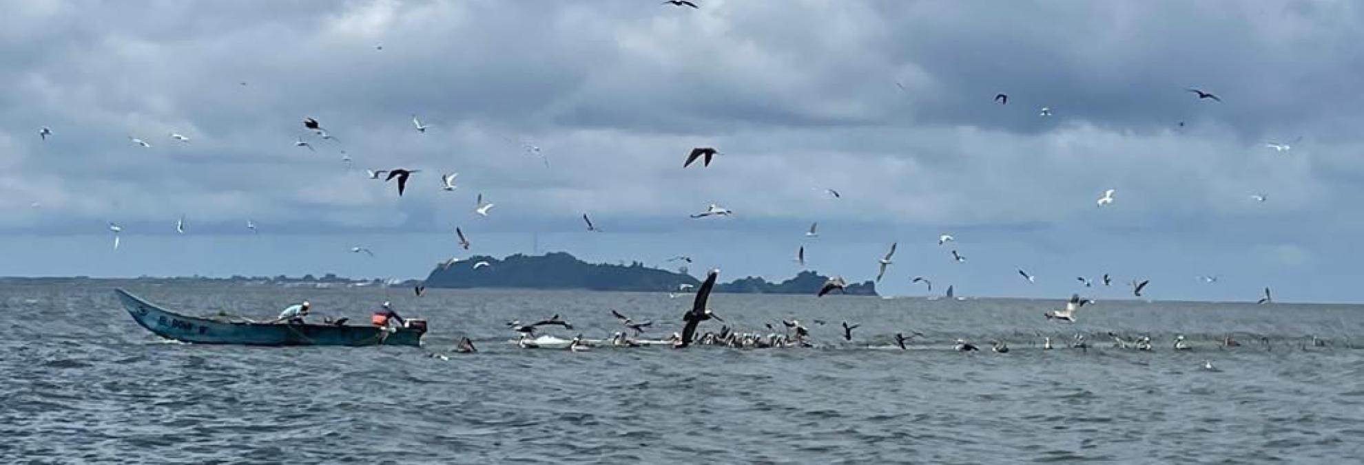Dirección General Marítima comprometida con el plan de ordenamiento marino costero de Tumaco, Nariño