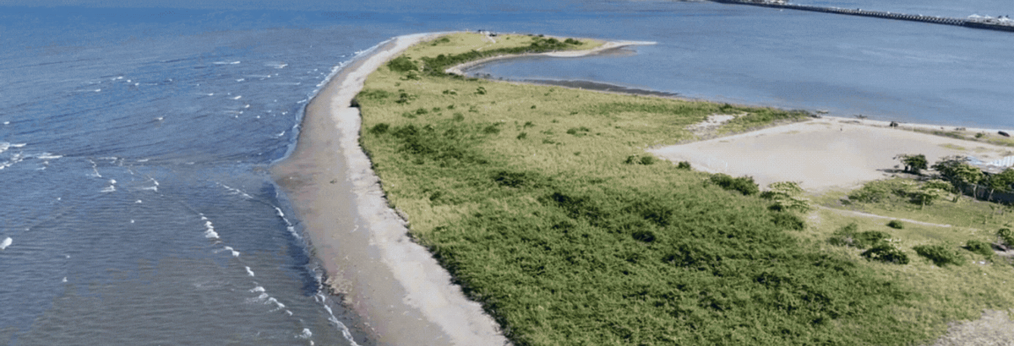 Desde el Pacífico, Colombia conmemora la Semana de los Océanos 2026