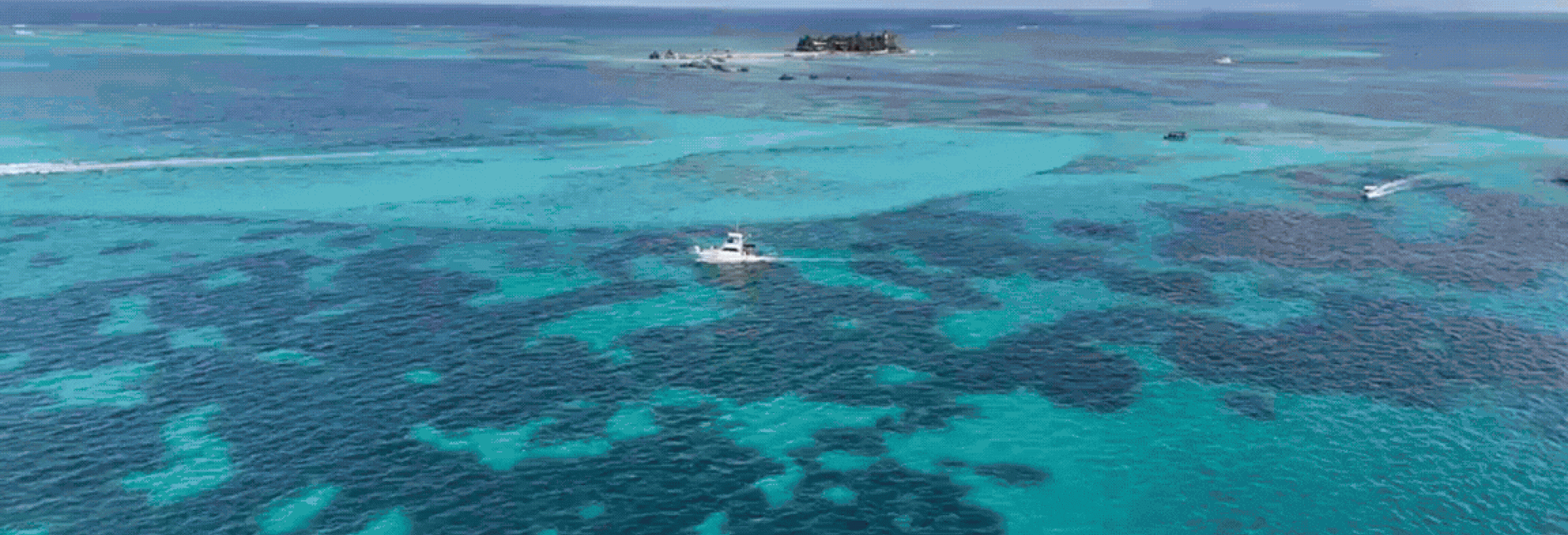 Dimar conmemora 74 años trabajando por el desarrollo de los mares, ríos y costas de Colombia