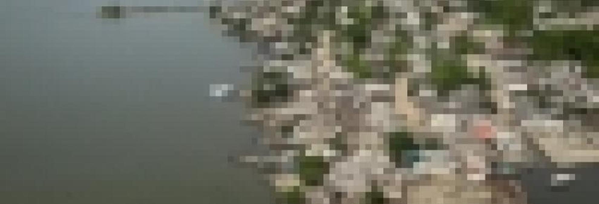 Simulacro de Tsunami en el Caribe.