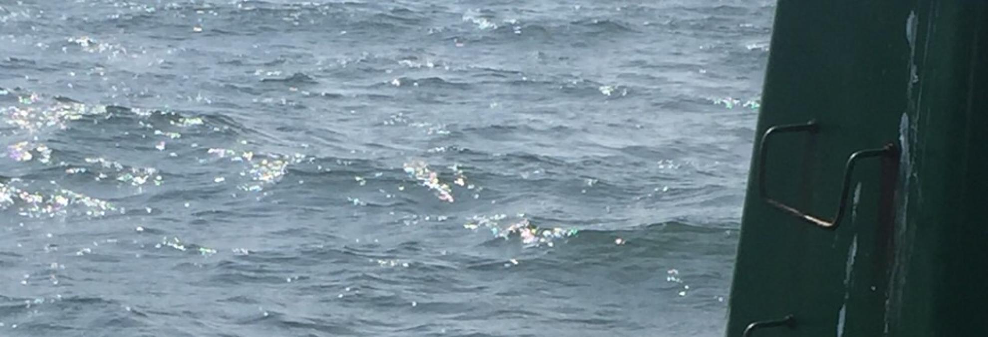 Recolección de organismos sésiles, en la Bahía de Tumaco.