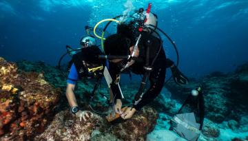110 especies de peces arrecifales conforma base de datos inicial de proyecto investigativo de Dimar en Expedición Seaflower 2018