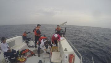 CIOH adelanta monitoreo de ecosistemas costeros