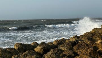 Comunicado de prensa