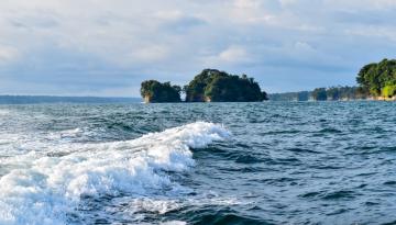 Comunicado de prensa