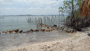 Dirección General Marítima denuncia construcción sobre mangle en Tierra bomba, Cartagena