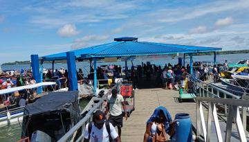 El avistamiento de ballenas atrae el turismo en el Pacífico colombiano: Dimar