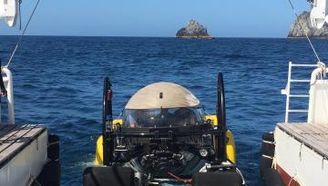 Dirección General Marítima apoya investigación científica en la Dorsal de Yuruparí y la Isla de Malpelo