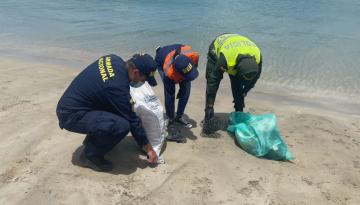 Más de 2 toneladas de residuos sólidos fueron recolectados en el Cabo de la Vela