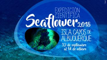 Dimar participa en Expedición Científica Seaflower: Isla Cayos de Albuquerque