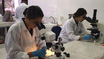 Dimar presenta balance del monitoreo a calidad del agua en la bahía de Cartagena