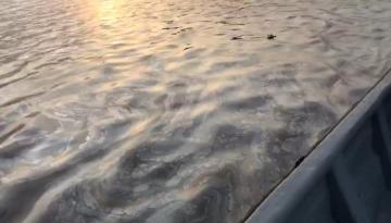 Dimar y Guardacostas activan controles de seguridad por derrame de combustible en el río Magdalena