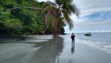 En Comité Local de playas de Guapi fue aprobada zonificación de playas en Isla Gorgona