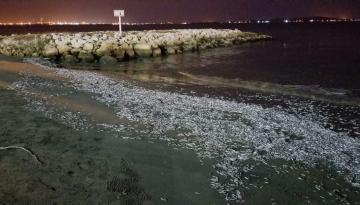 La Autoridad Marítima Colombiana contribuye al conocimiento de la calidad ambiental marina de la bahía de Cartagena